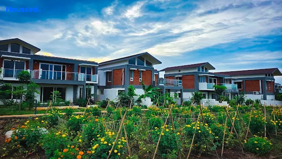 Project Image of 3 BHK House/Villa for Resale in Organo Antharam, Chevella - Image 168210
