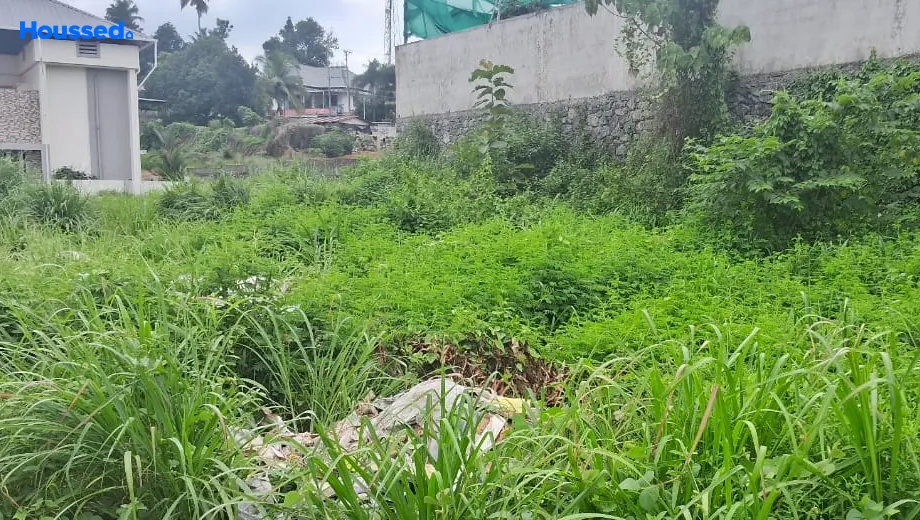 Project Image of Housing Plot/Residential Land for Resale in Aluva - Image 168337