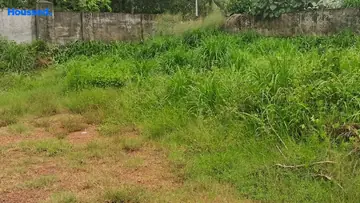 Project Image of Housing Plot/Residential Land for Resale in Aluva, Kochi - Image 168381