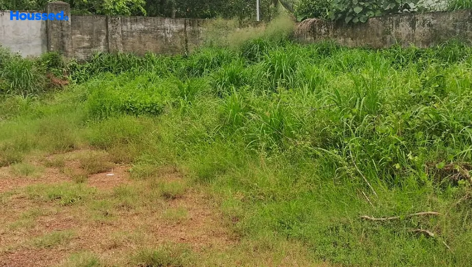 Project Image of Housing Plot/Residential Land for Resale in Aluva - Image 168381