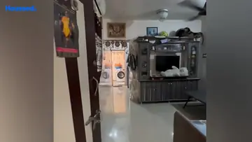Project Image of 2 BHK House/Villa for Resale in Nikol, Ahmedabad - Image 168527