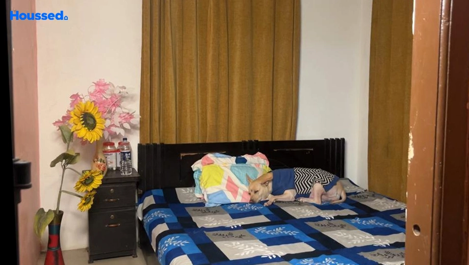 Project Image of 2 BHK Flat for Resale in Maa Gayatri Valley Phase 1, Parsa Bazaar - Image 169017