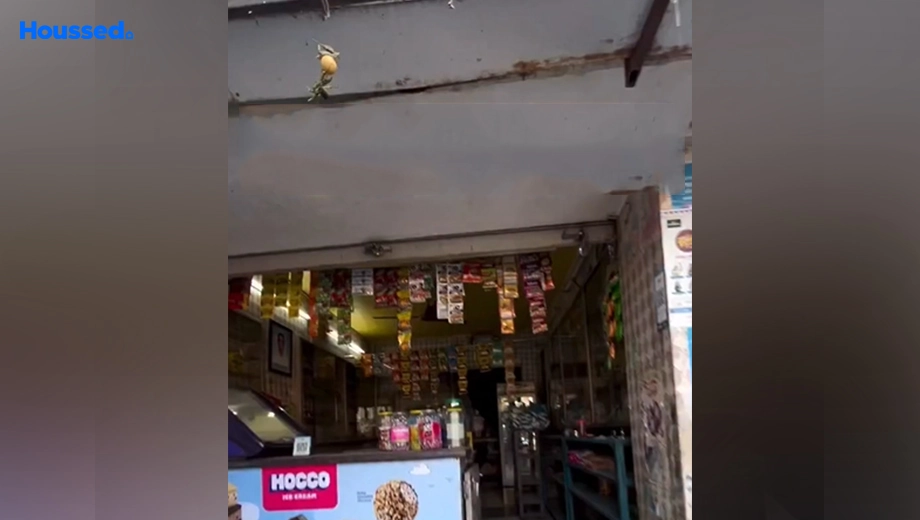 Project Image of Shop & Showroom for Rent in Nikol - Image 169139