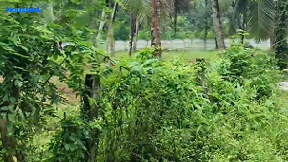 Project Image of Housing Plot/Residential Land for Resale in Aluva - Image 169694