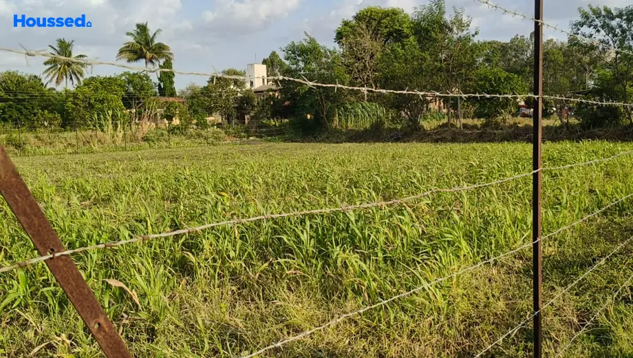 Project Image of Housing Plot/Residential Land for Resale in Gangapur Road - Image 169990