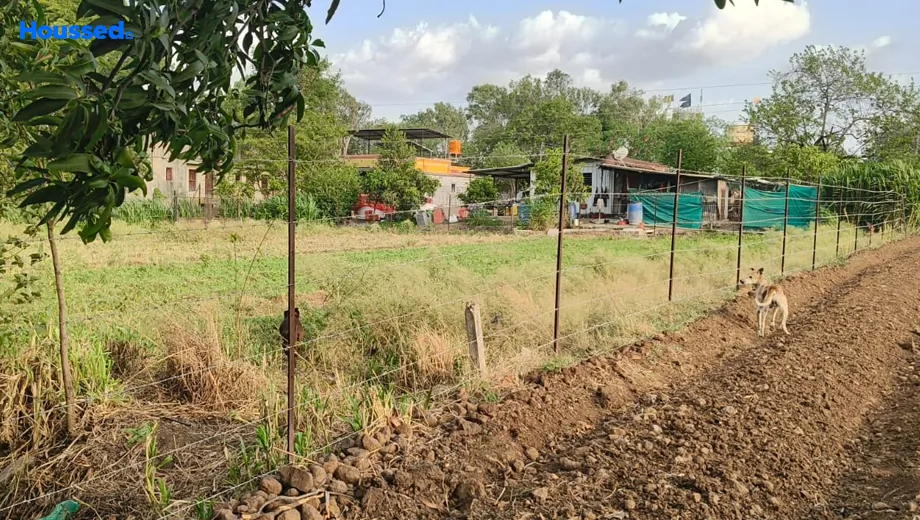 Project Image of Housing Plot/Residential Land for Resale in Gangapur Road - Image 169989