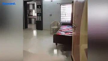 Project Image of 1 BHK Flat for Resale in Nikol, Ahmedabad - Image 170273