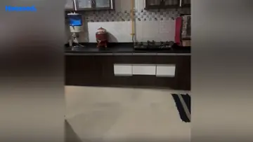 Project Image of 2 BHK Flat for Resale in Nikol, Ahmedabad - Image 170353