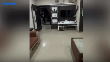Project Image of 2 BHK Flat for Resale in Nikol, Ahmedabad - Image 170356