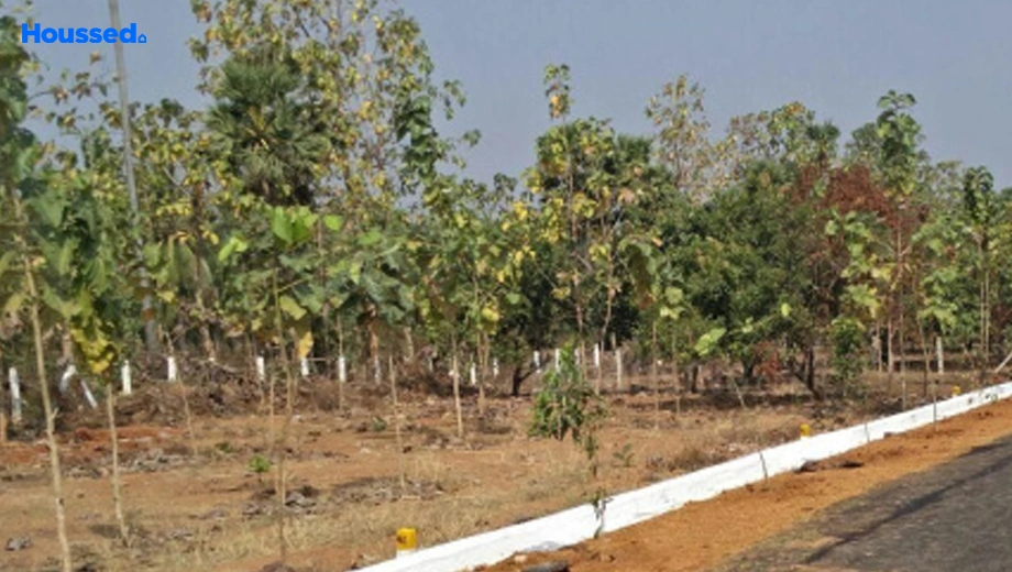 Project Image of Housing Plot/Residential Land for Resale in Nad Junction - Image 171136