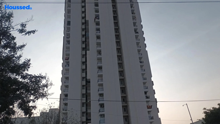 Project Image of 2 BHK Flat for Resale in Amrapali Dream Valley, Noida Extention - Image 171194