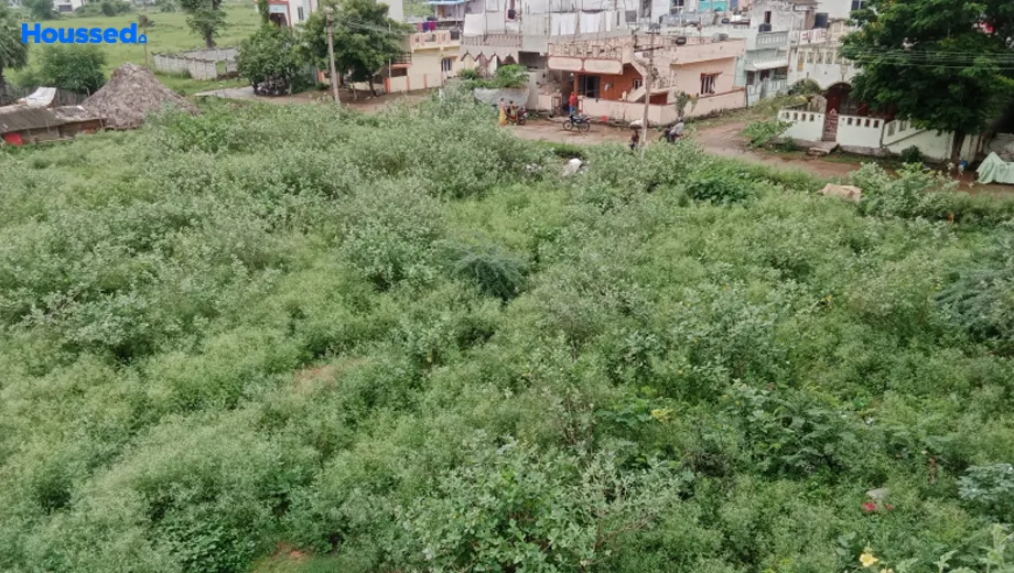 Project Image of Housing Plot/Residential Land for Resale in Bheemili - Image 171193