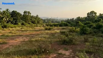 Project Image of Commercial Land for Resale in Kovalam, Thiruvananthapuram - Image 171422
