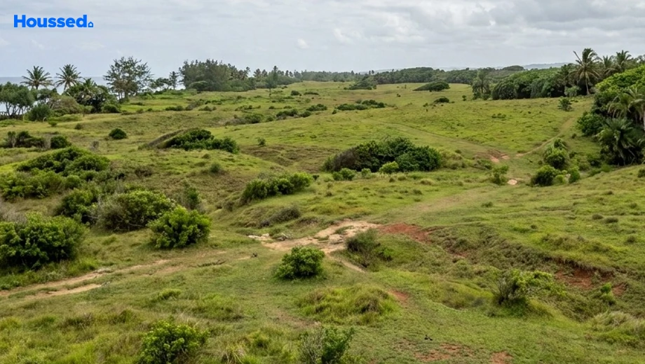 Project Image of Commercial Land for Resale in Kovalam - Image 171425