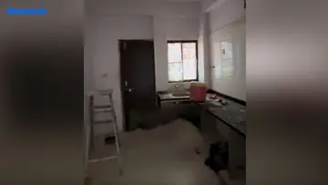 Project Image of 2 BHK Flat for Resale in Nava Naroda, Ahmedabad - Image 171828