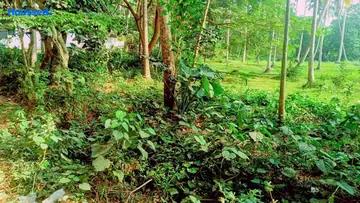 Project Image of Commercial Land for Resale in Kovalam, Thiruvananthapuram - Image 172633