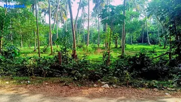 Project Image of Commercial Land for Resale in Kovalam, Thiruvananthapuram - Image 172635