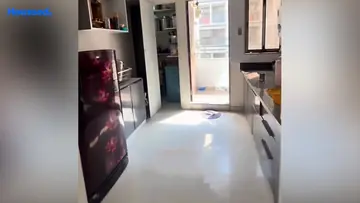 Project Image of 2 BHK Flat for Rent in Hanspura, Ahmedabad - Image 173024