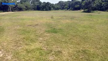 Project Image of Housing Plot/Residential Land for Resale in Angara, Ranchi - Image 173173