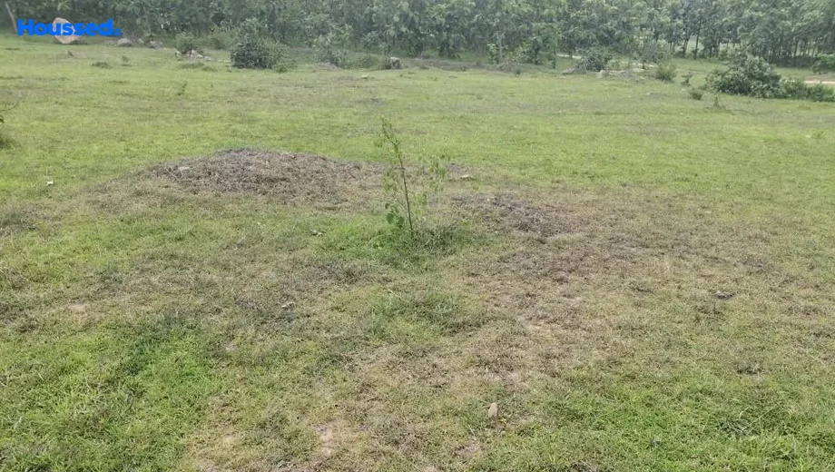 Project Image of Housing Plot/Residential Land for Resale in Angara - Image 173170