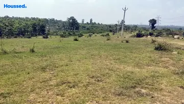 Project Image of Housing Plot/Residential Land for Resale in Angara, Ranchi - Image 173169