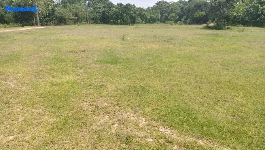 Project Image of Housing Plot/Residential Land for Resale in Angara - Image 173171