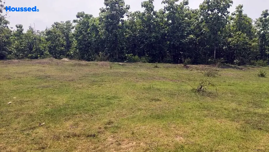 Project Image of Housing Plot/Residential Land for Resale in Angara - Image 173174
