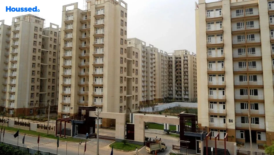 Project Image of 3 BHK Flat for Resale in Tulip Orange, Sector 70 - Image 173325