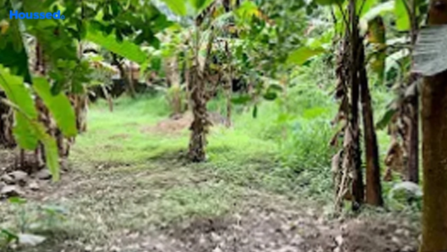Project Image of Housing Plot/Residential Land for Resale in Aluva - Image 174264