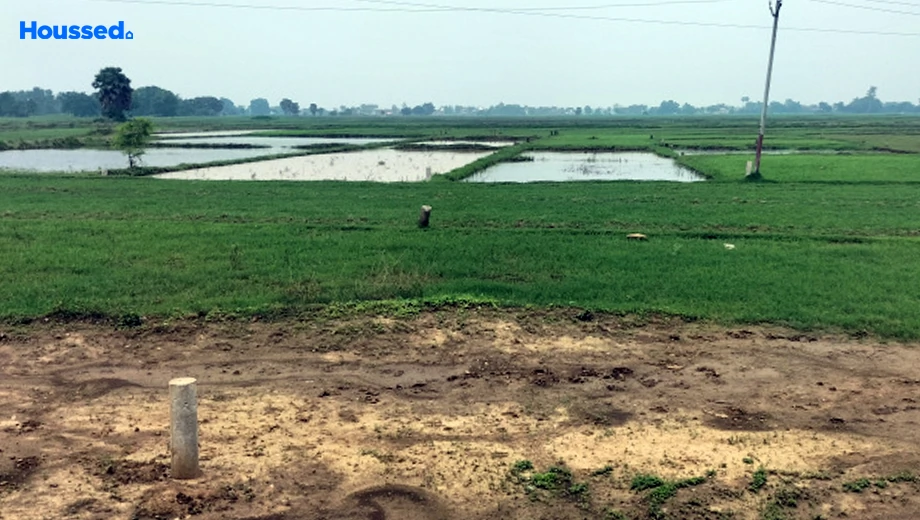 Project Image of Housing Plot/Residential Land for Resale in Bihta - Image 174298