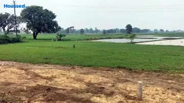 Project Image of Housing Plot/Residential Land for Resale in Bihta, Patna - Image 174299