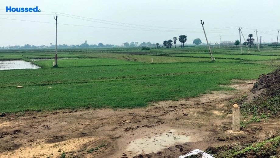 Project Image of Housing Plot/Residential Land for Resale in Bihta - Image 174300