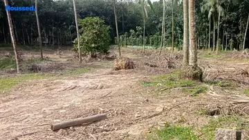 Project Image of Housing Plot/Residential Land for Resale in Peroorkada, Thiruvananthapuram - Image 174571