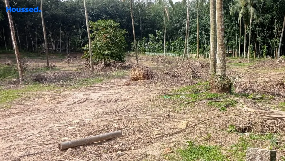 Project Image of Housing Plot/Residential Land for Resale in Peroorkada - Image 174571
