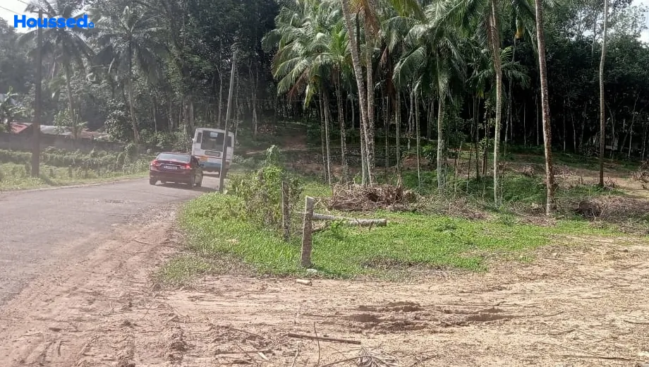 Project Image of Housing Plot/Residential Land for Resale in Peroorkada - Image 174572