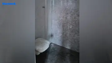 Project Image of 3 BHK Flat for Resale in Kokar, Ranchi - Image 174739