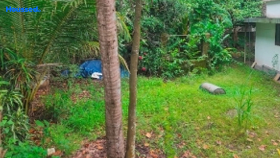 Project Image of Housing Plot/Residential Land for Resale in Kakkanad - Image 174785