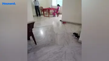 Project Image of 3 BHK Flat for Resale in Lalpur, Ranchi - Image 174890