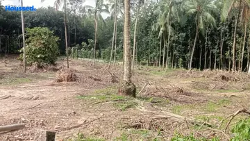 Project Image of Housing Plot/Residential Land for Resale in Pongumoodu, Thiruvananthapuram - Image 175538