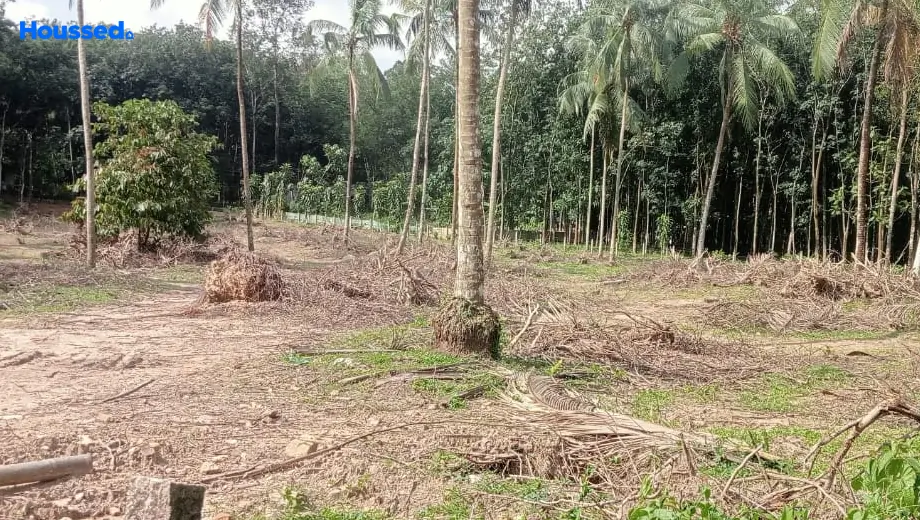 Project Image of Housing Plot/Residential Land for Resale in Pongumoodu - Image 175538