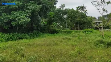 Project Image of Housing Plot/Residential Land for Resale in Thevakkal, Kochi - Image 175561