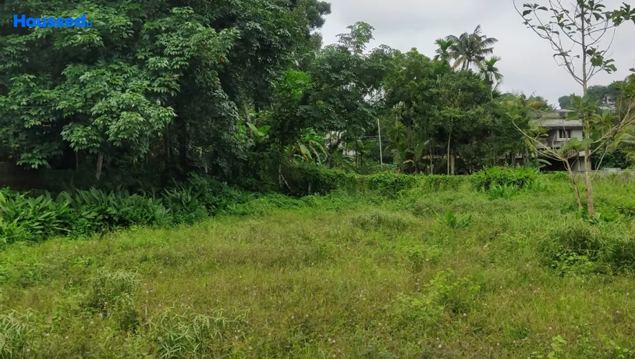 Project Image of Housing Plot/Residential Land for Resale in Thevakkal - Image 175561