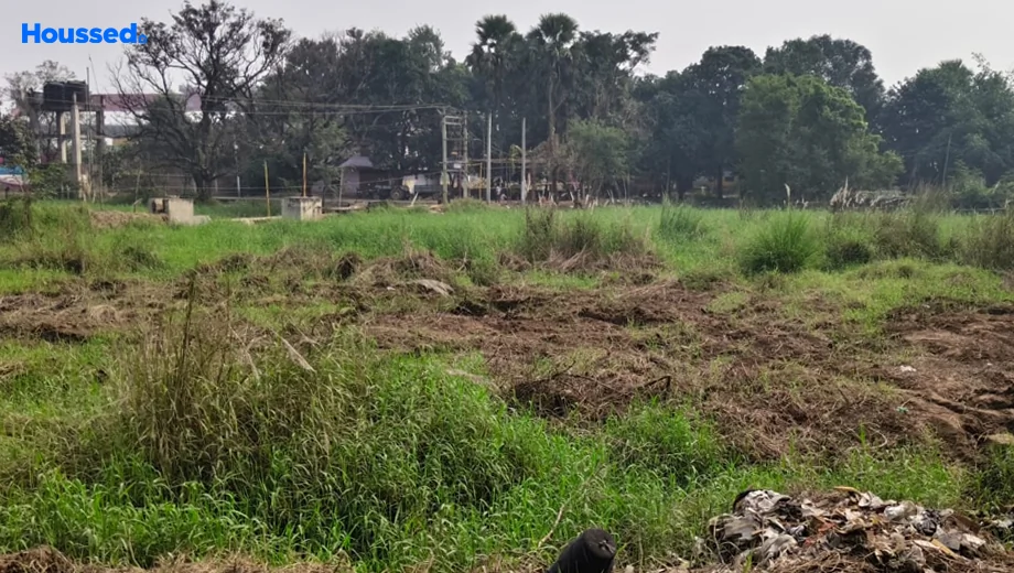 Project Image of Housing Plot/Residential Land for Resale in Painal - Image 177672