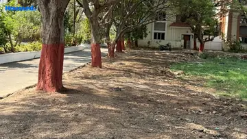 Project Image of Housing Plot/Residential Land for Resale in Yapral, Hyderabad - Image 178053