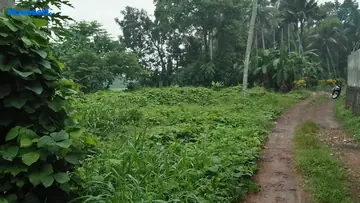 Project Image of Housing Plot/Residential Land for Resale in Angamaly, Kochi - Image 178429
