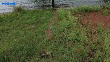 Project Image of Housing Plot/Residential Land for Resale in Dindori Road, Nashik - Image 179115