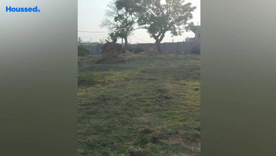Project Image of Housing Plot/Residential Land for Resale in Morabadi - Image 179253