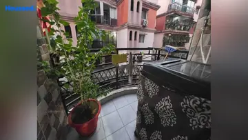 Project Image of 2 BHK Flat for Rent in Ashok Nagar, Ranchi - Image 179464