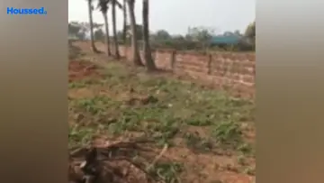 Project Image of Housing Plot/Residential Land for Resale in Gangapatana, Bhubaneswar - Image 180020