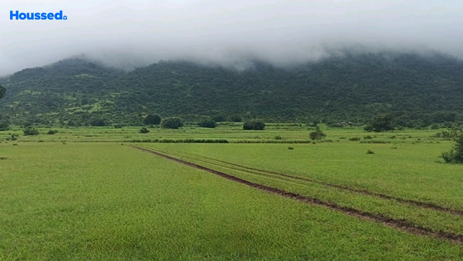 Project Image of Agriculture Land for Resale in Amogham Lonavalley Farm Plots, Vadgaon - Image 180165